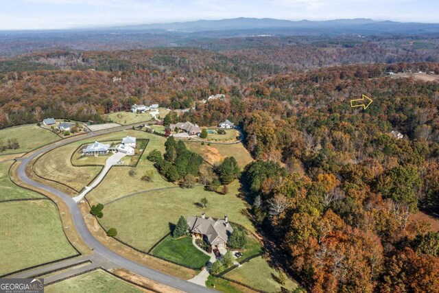 2055 Henry Scott Rd, Ball Ground, GA 30107