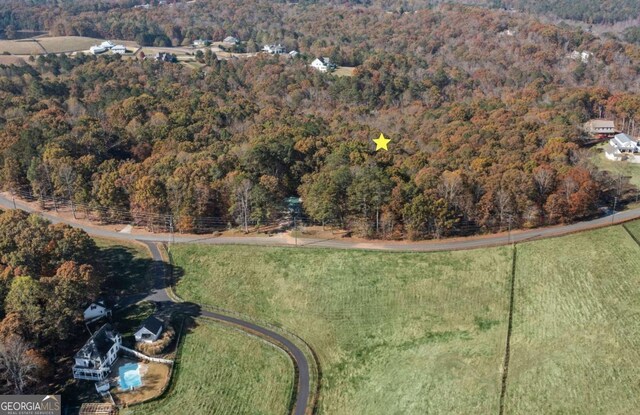 2055 Henry Scott Rd, Ball Ground, GA 30107