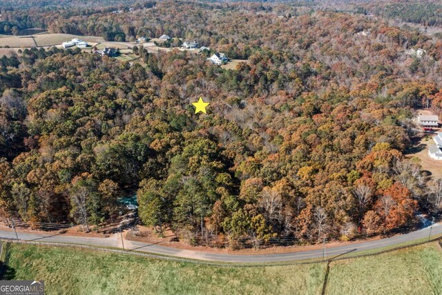2055 Henry Scott Rd, Ball Ground, GA 30107
