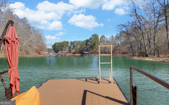 dock area featuring a water view