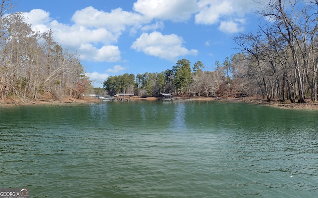 view of water feature