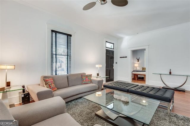 living room with ceiling fan and hardwood / wood-style floors