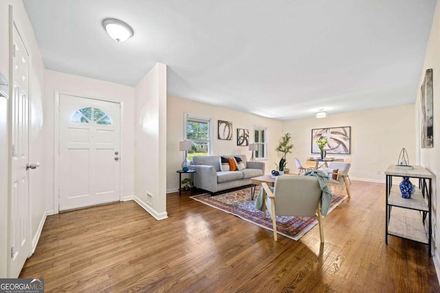 living room with wood-type flooring