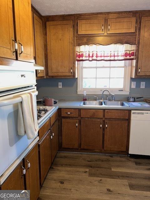 kitchen with a textured ceiling, sink, dark wood-type flooring, and white appliances