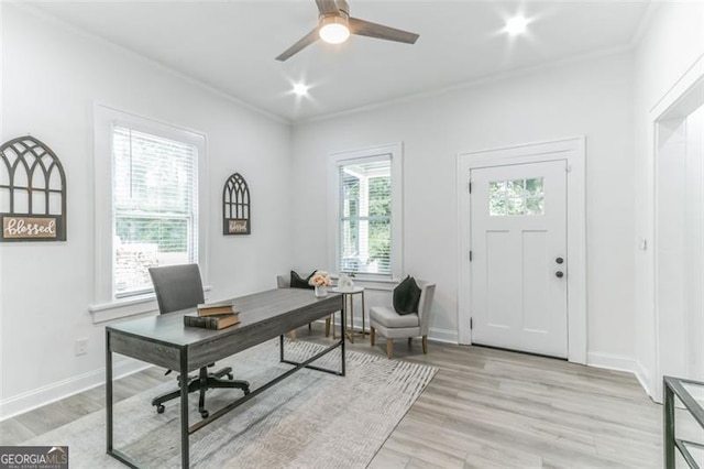 office area with ceiling fan, light hardwood / wood-style floors, and ornamental molding