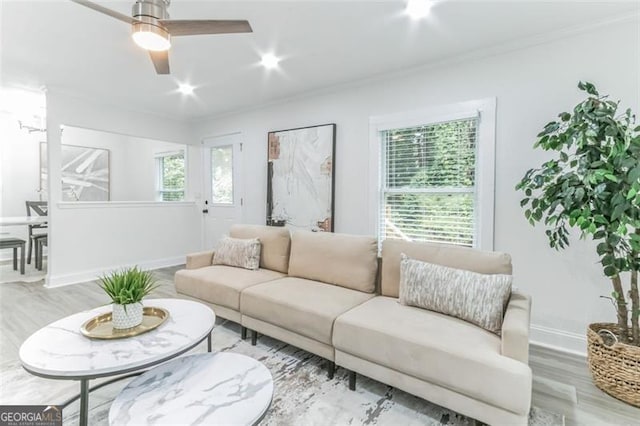 living room with wood-type flooring, ceiling fan, and ornamental molding