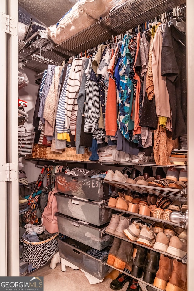 view of walk in closet