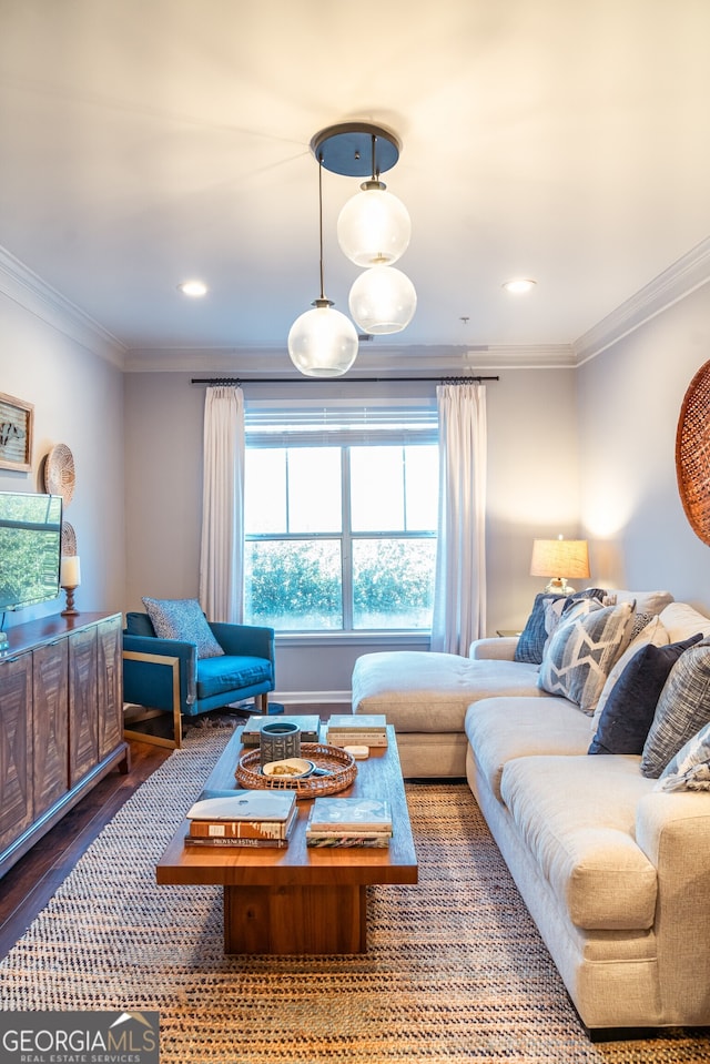 living room with hardwood / wood-style floors and ornamental molding