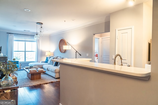 interior space featuring crown molding, sink, and dark wood-type flooring