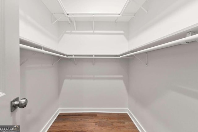 spacious closet featuring dark wood-type flooring