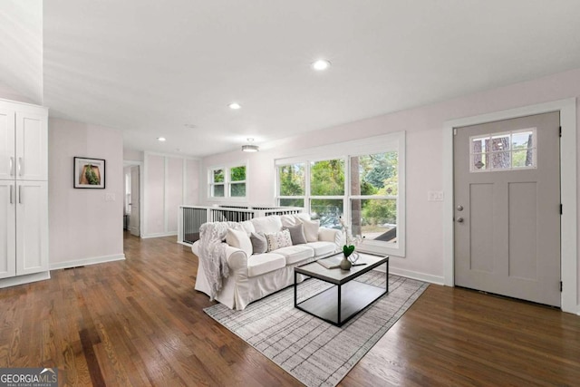 living room with dark hardwood / wood-style flooring