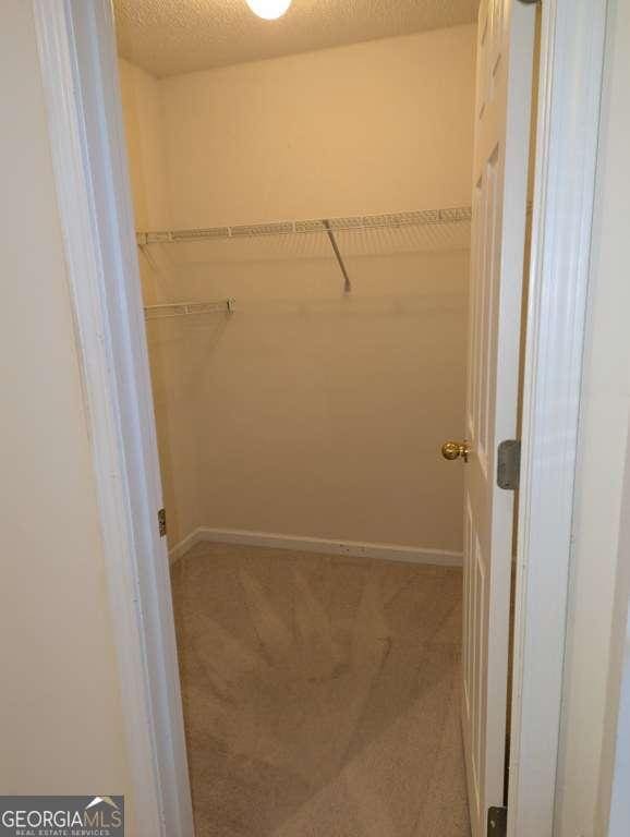 spacious closet featuring light carpet