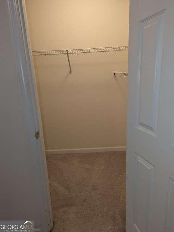 spacious closet featuring carpet