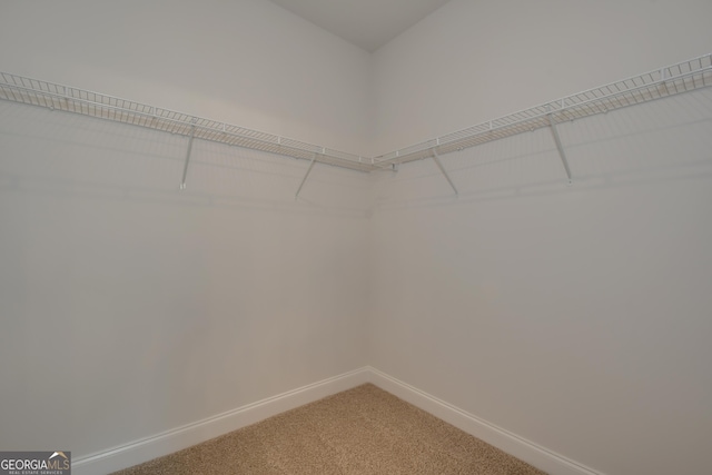 walk in closet featuring carpet