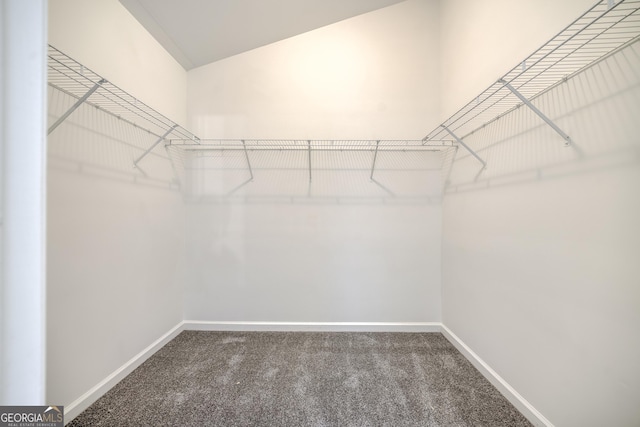 walk in closet with carpet flooring