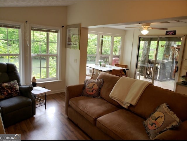 living room featuring hardwood / wood-style floors and plenty of natural light