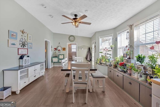 dining room with lofted ceiling, a ceiling fan, a textured ceiling, wood finished floors, and baseboards