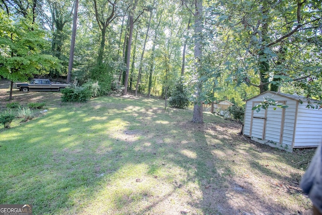 view of yard with a storage unit