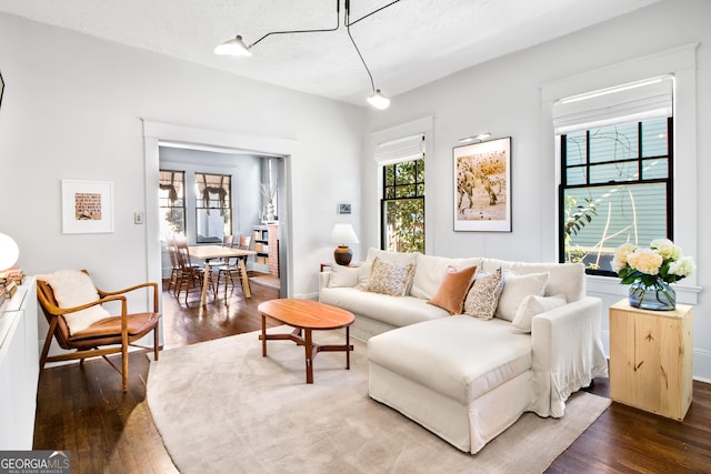 living room featuring dark hardwood / wood-style floors and a textured ceiling