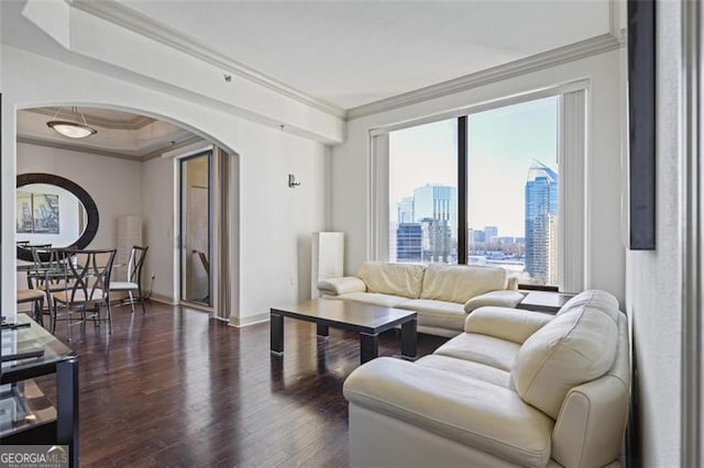 living room featuring dark wood-type flooring, a tray ceiling, and ornamental molding