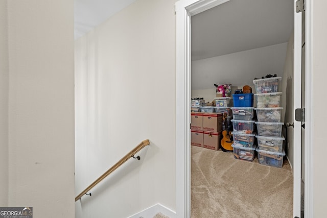 walk in closet featuring carpet floors