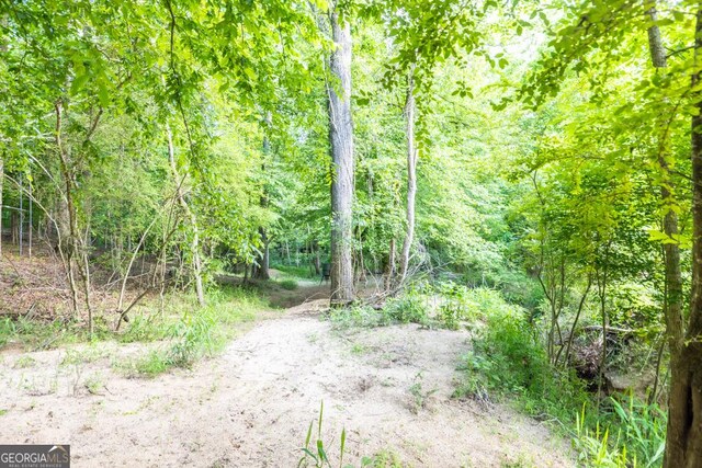192 Celestial Run, Winder, GA 30680 - view of tree filled area