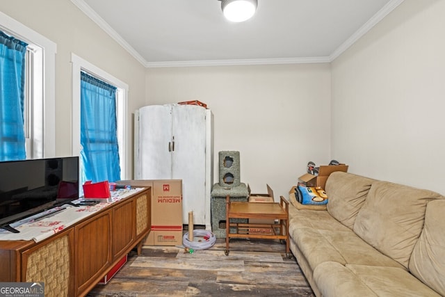 office area featuring dark hardwood / wood-style flooring and crown molding