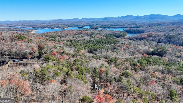 birds eye view of property with a water and mountain view