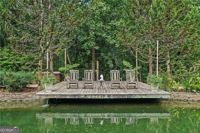 dock area with a water view