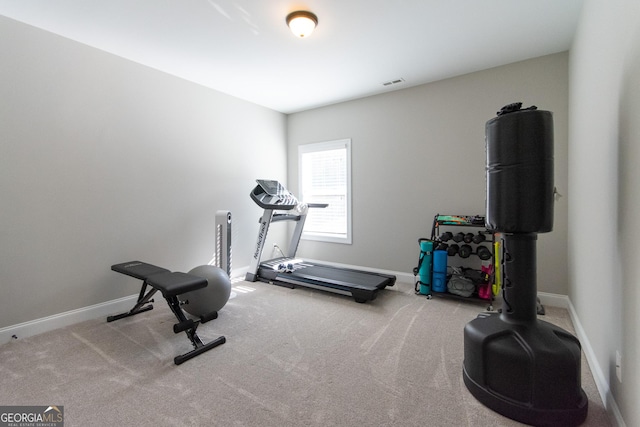 workout area featuring carpet floors