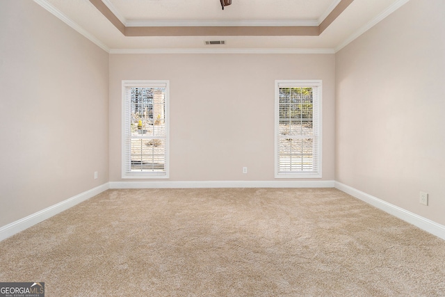 carpeted empty room featuring crown molding, plenty of natural light, and a tray ceiling