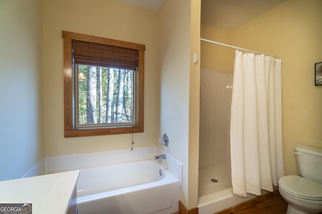 576 Stanley Nix Rd, Cleveland, GA 30528 - full bathroom with hardwood / wood-style floors, separate shower and tub, toilet, and vanity
