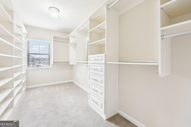 walk in closet with light colored carpet