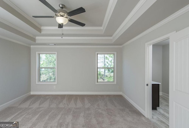 empty room with a raised ceiling, crown molding, and a wealth of natural light