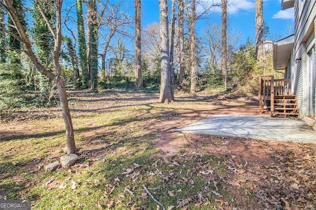 view of yard with a patio