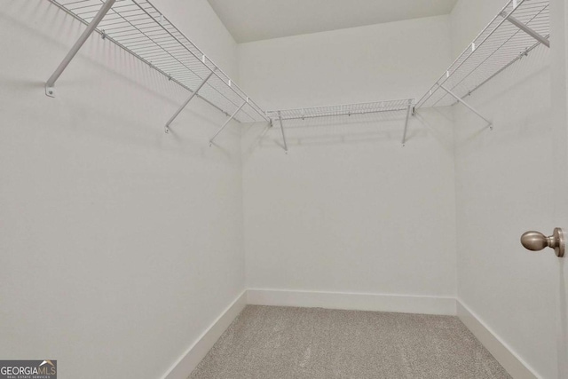 spacious closet featuring carpet flooring