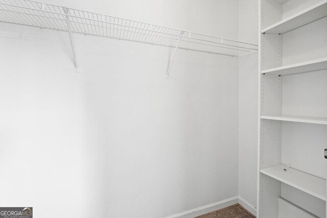 walk in closet with carpet flooring