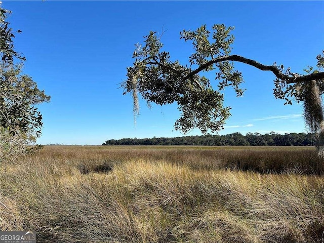 view of local wilderness with a rural view