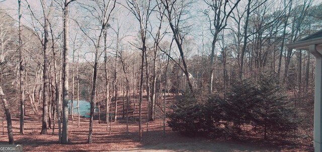 1030 Lake Haynes Dr NE, Conyers, GA 30012 - view of yard with a forest view