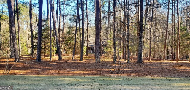 1030 Lake Haynes Dr NE, Conyers, GA 30012 - view of nature