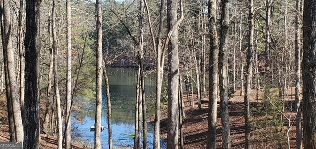 1030 Lake Haynes Dr NE, Conyers, GA 30012 - view of water feature