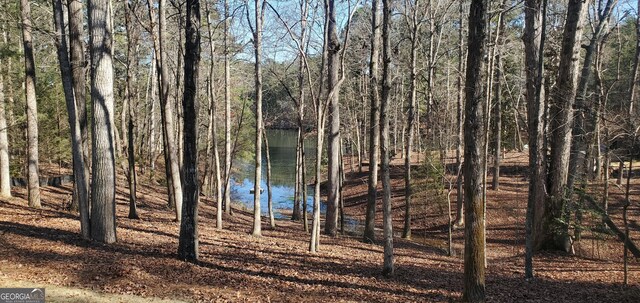 1030 Lake Haynes Dr NE, Conyers, GA 30012 - view of water feature