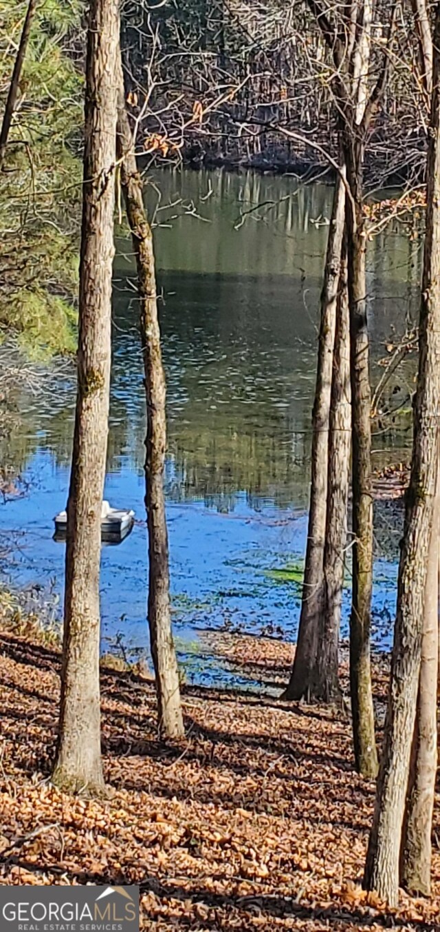 1030 Lake Haynes Dr NE, Conyers, GA 30012 - view of water feature