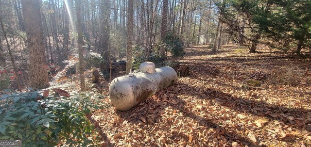 1030 Lake Haynes Dr NE, Conyers, GA 30012 - details with a forest view and heating fuel