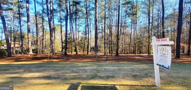 1030 Lake Haynes Dr NE, Conyers, GA 30012 - view of yard
