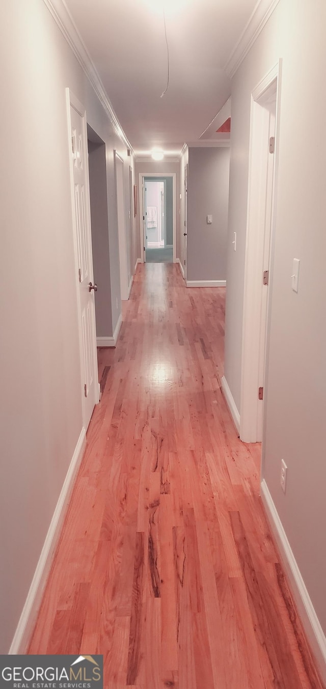 hall featuring light hardwood / wood-style flooring and crown molding