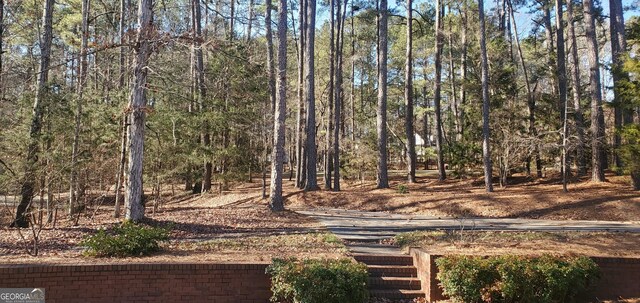 1030 Lake Haynes Dr NE, Conyers, GA 30012 - view of yard