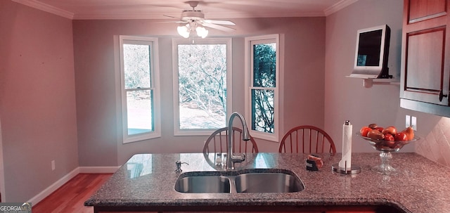 kitchen featuring ceiling fan, ornamental molding, sink, and a wealth of natural light