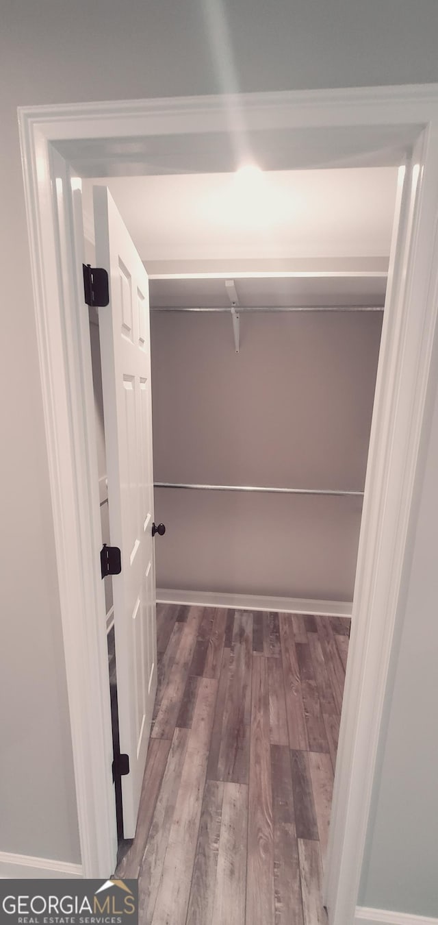 walk in closet featuring hardwood / wood-style flooring