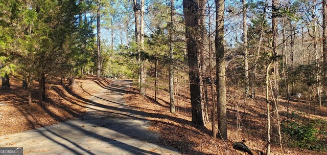 1030 Lake Haynes Dr NE, Conyers, GA 30012 - view of road